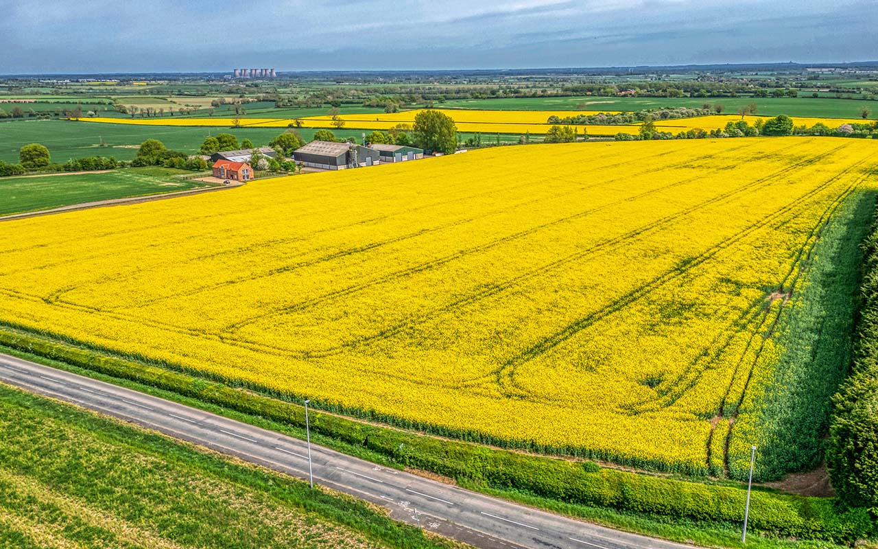 drone view over seedplant in lincolnshire